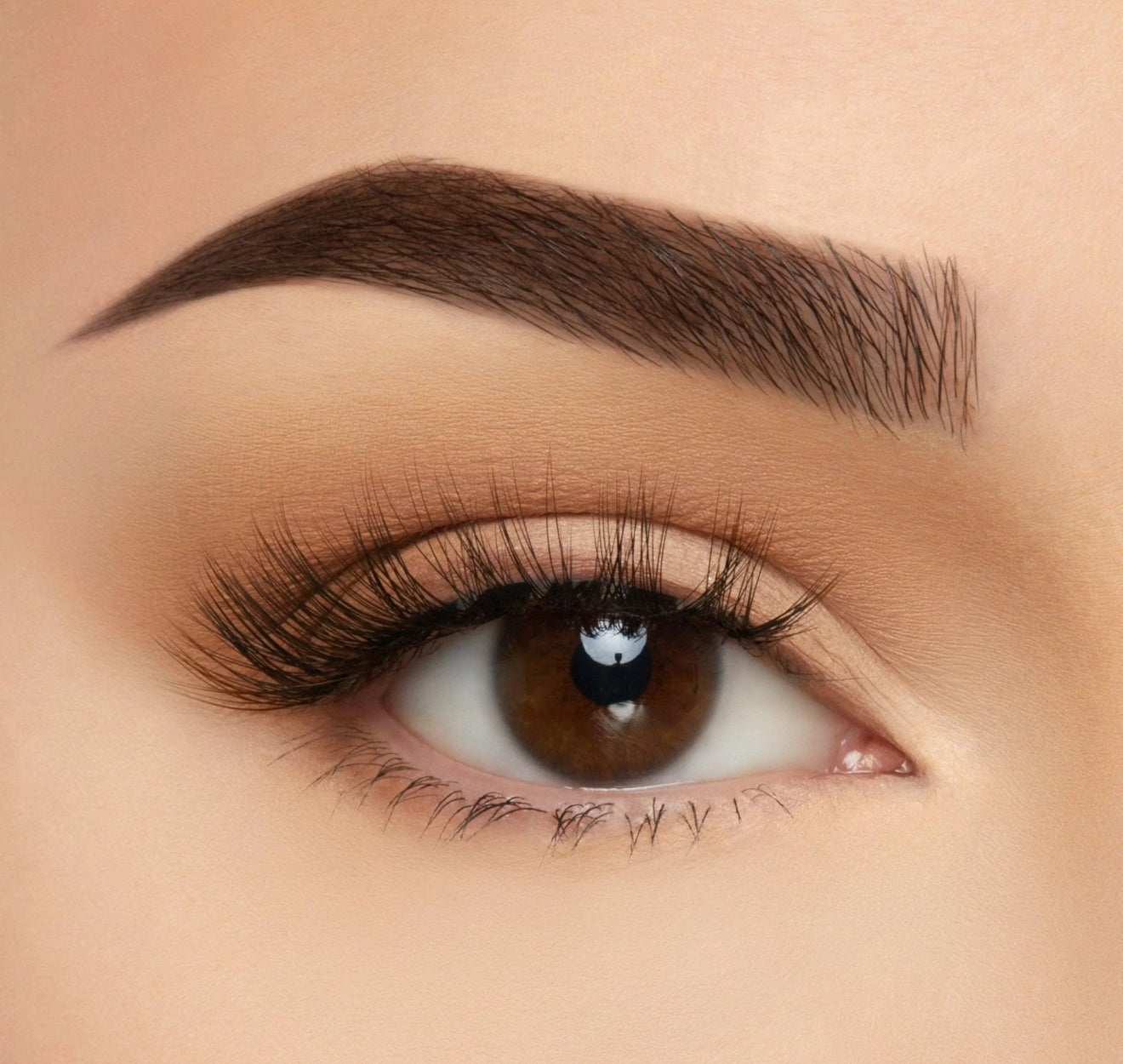 Lashes Sydney