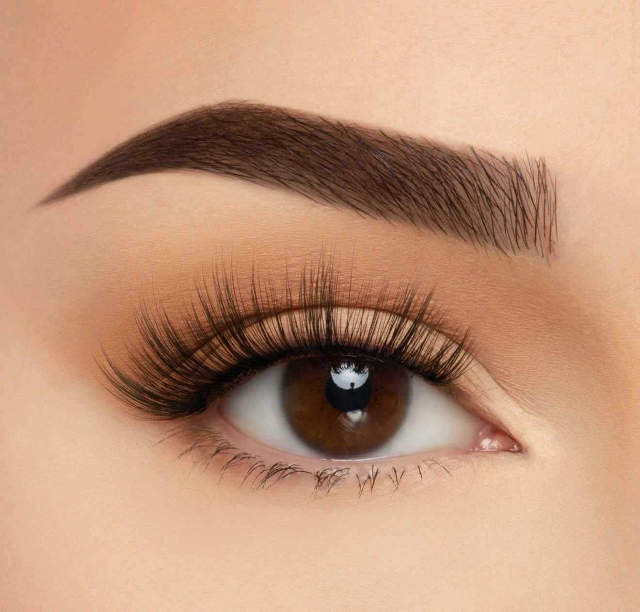 Lashes Puerto Rico