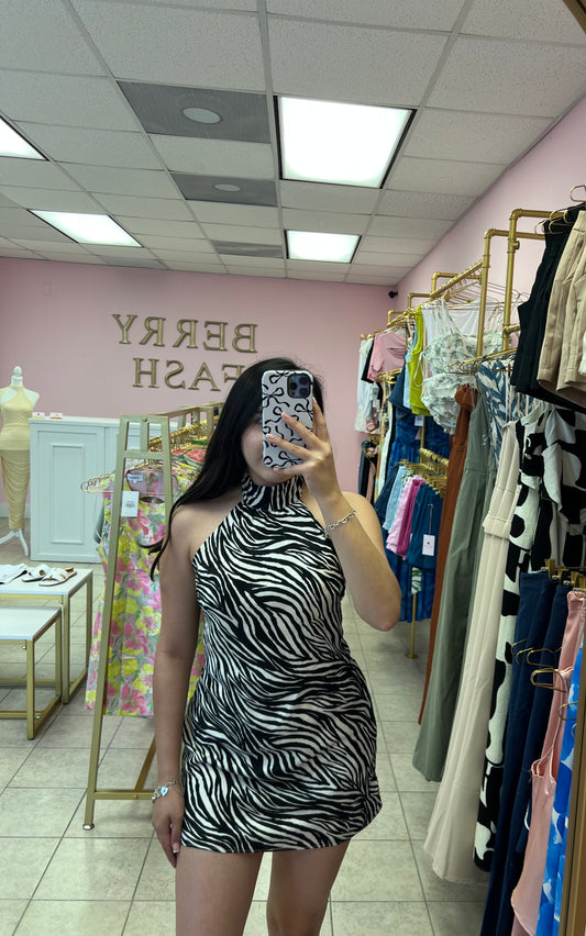 Zara Dress