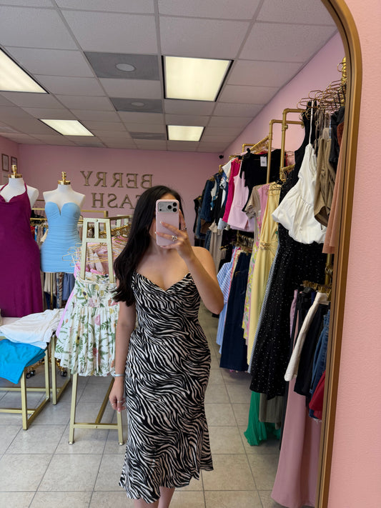 Zebra Dress